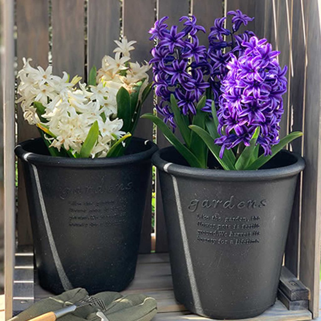 Tiefwurzler fühlen sich im hohen Eco Pot Round Blumentopf sofort zuhause. 